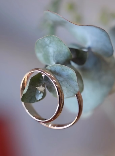 anillos-de-boda-novios-joyeria-biendicho